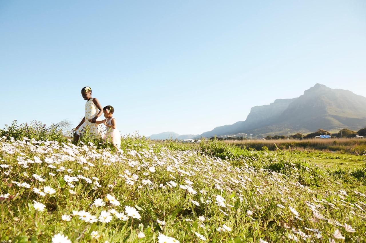 Lighthouse Farm Backpackers Lodge Le Cap Extérieur photo