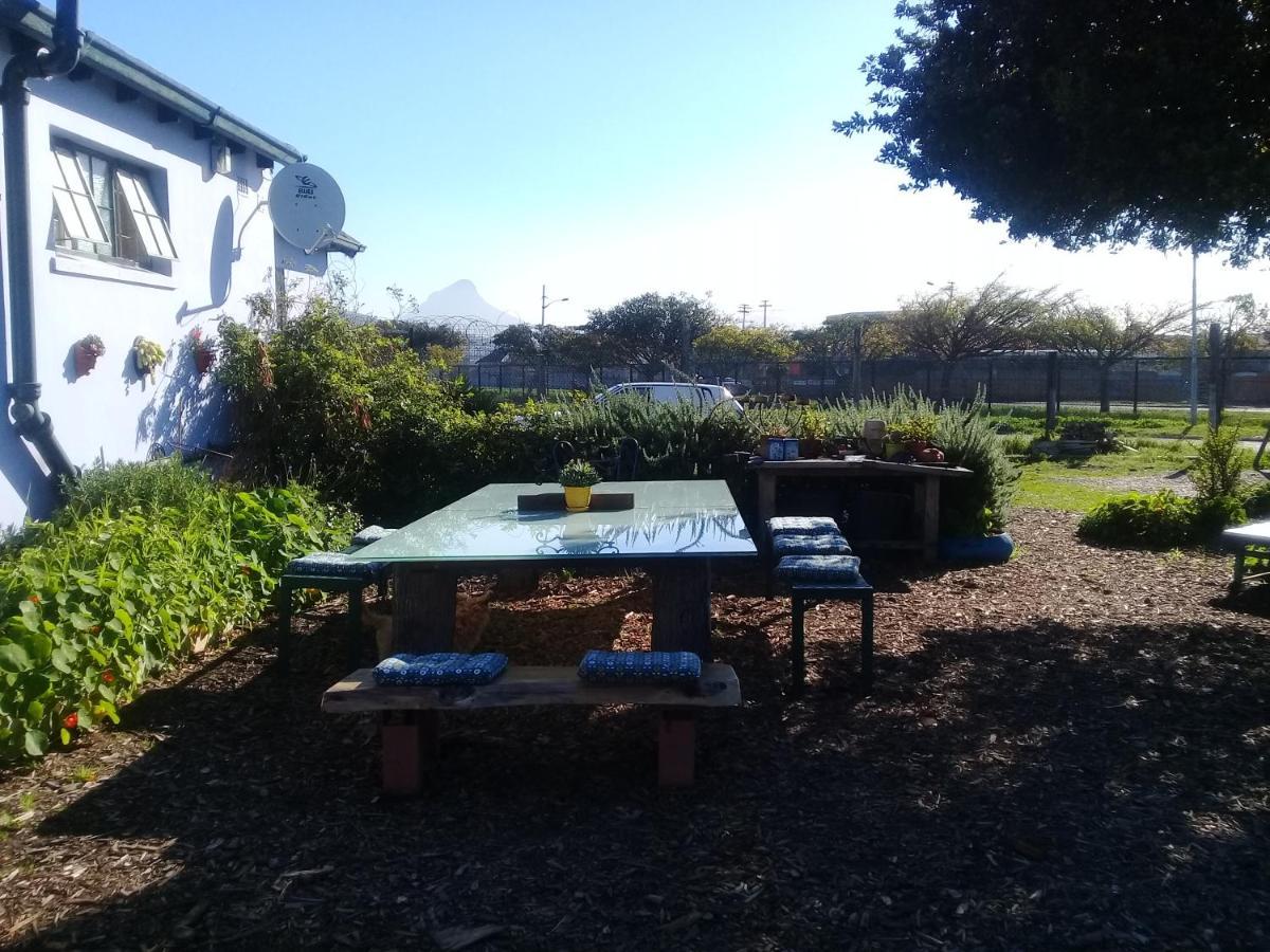 Lighthouse Farm Backpackers Lodge Le Cap Extérieur photo